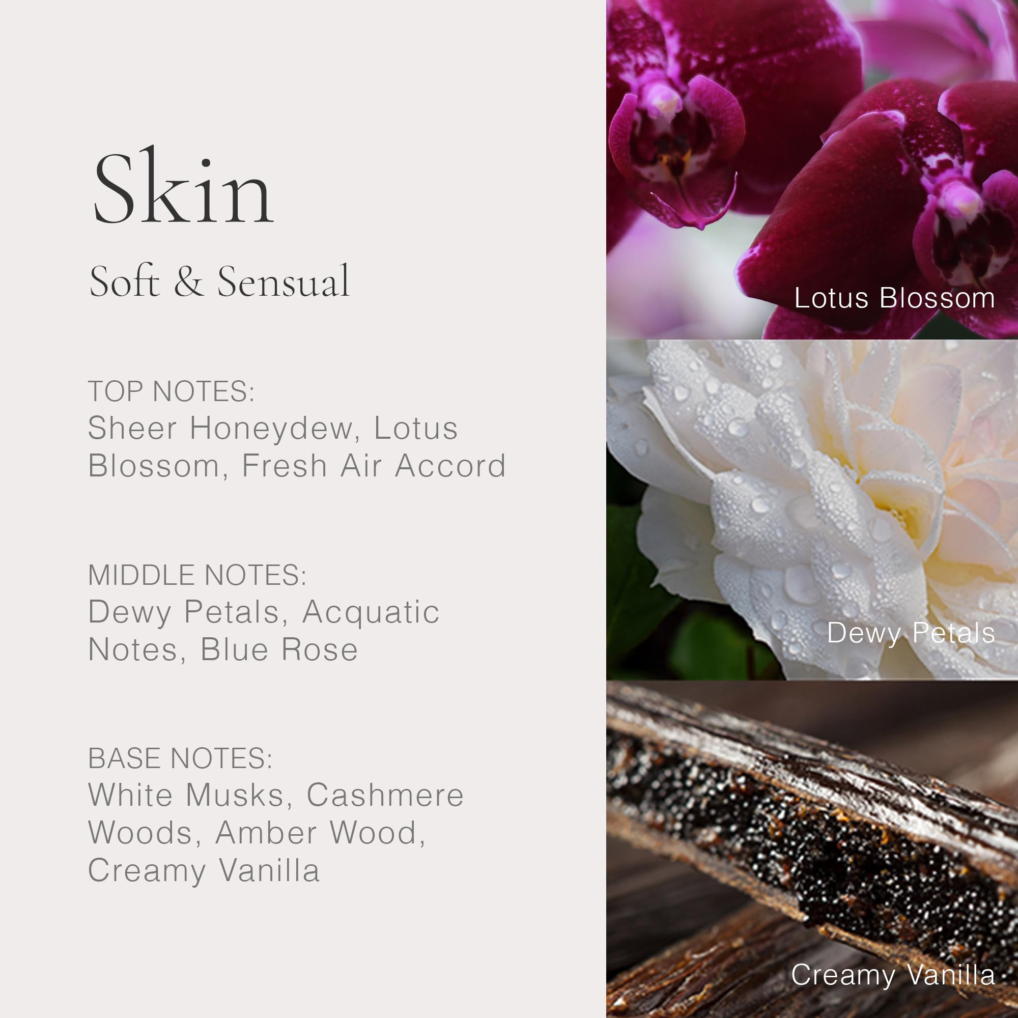 Clean Classic Eau de Parfum - Long Lasting Vegan Fragrance for Women & Men | Cruelty-Free, Phthalate & Paraben Free | Everyday Wear, Office & Date Night Scent