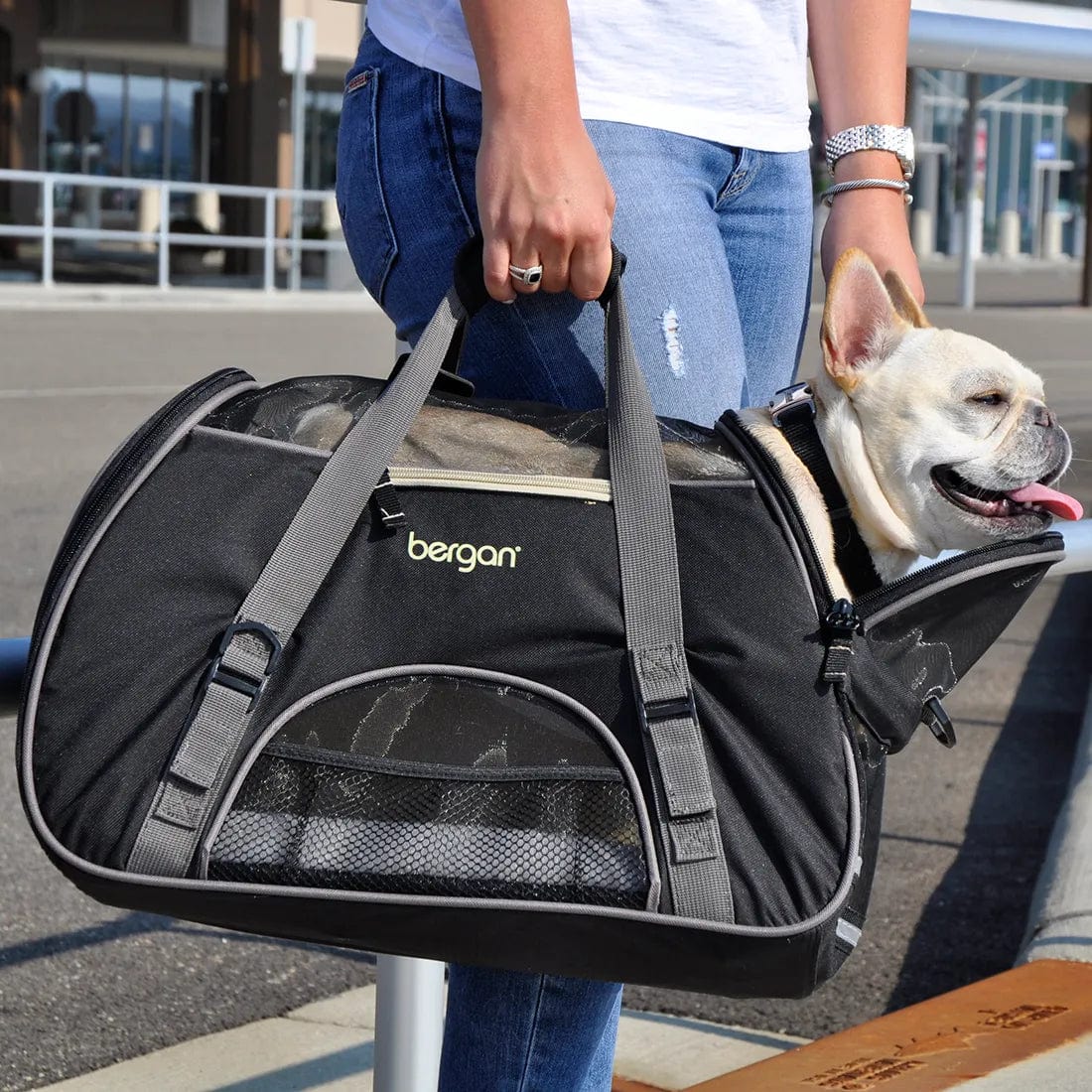 Bergan Comfort Plus Pet Carrier - Lightweight & Airline Approved Dog & Cat Travel Carrier for Small to Medium Pets - Perfect for Air Travel, Road Trips & Vet Visits
