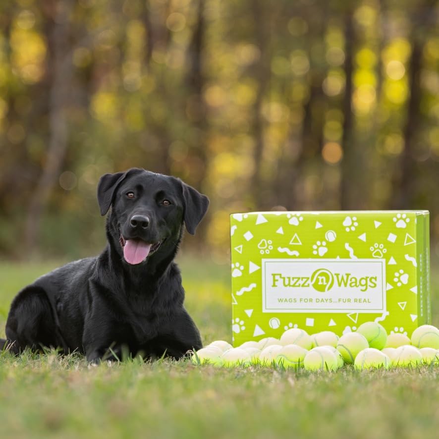 **100 Used Tennis Balls for Dogs - Bulk Recycled Dog Tennis Balls | Supports USA Tennis Ball Recycling NonProfit | Perfect for Fetch, Training & Playtime**