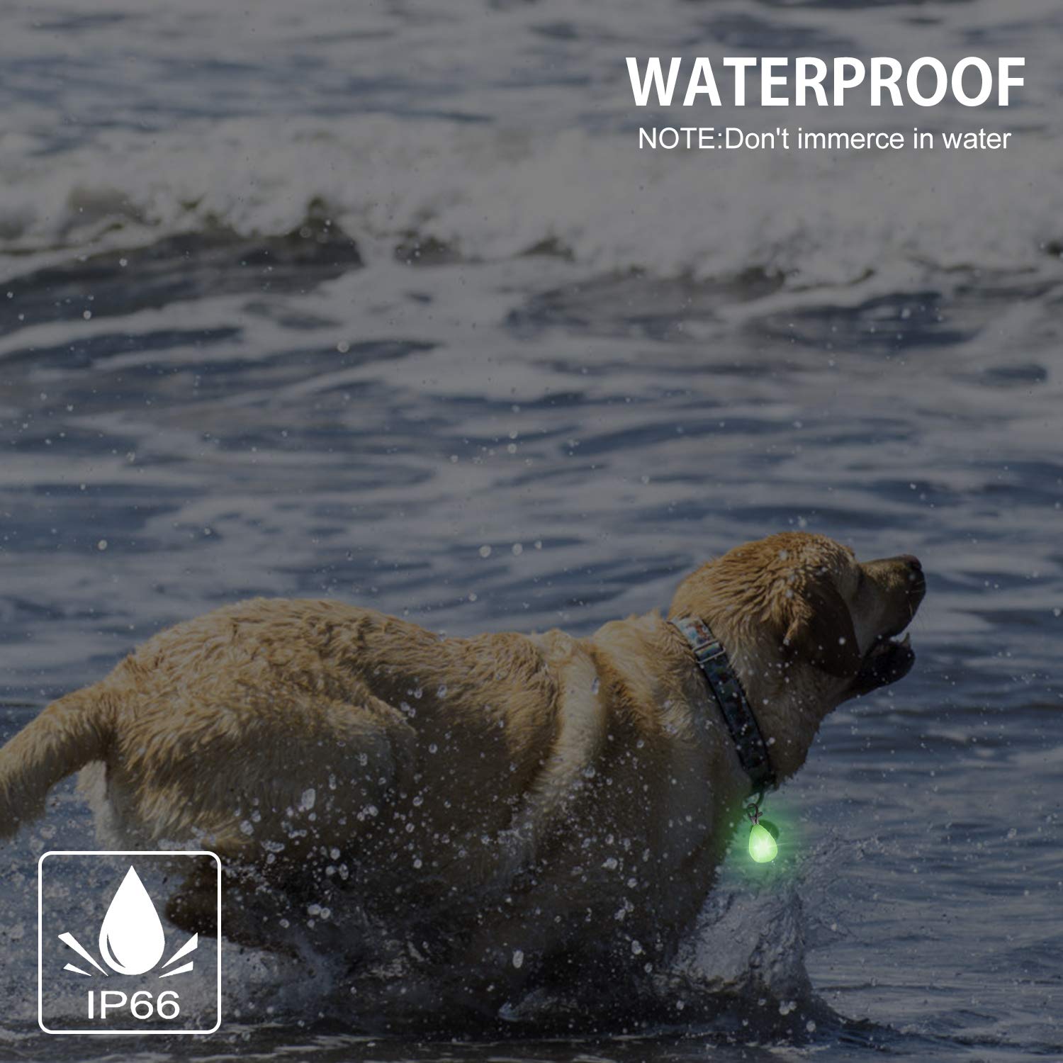 2-Pack Rechargeable LED Dog Collar Light - Waterproof Safety Light with 3 Modes & Multiple Colors - Clip On Collar, Leash or Harness - Perfect for Night Running, Hiking, Camping, Biking & Outdoor Adventures