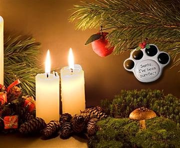 Ceramic Paw Print Christmas Ornament - 'Santa, I've Been Purrfect' Cat Lover Gift - Handmade Holiday Decor for Pet Owners & Christmas Tree