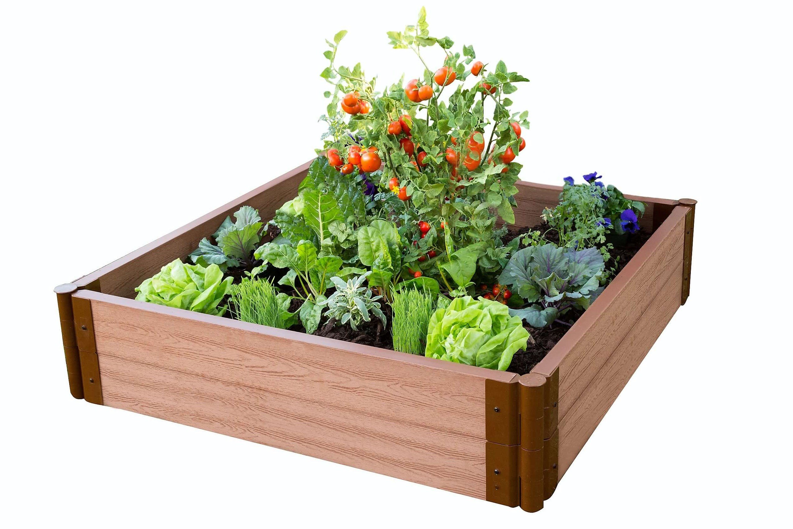 Frame It All Tool-Free Classic Sienna Raised Garden Bed Kit 4' x 4' x 11