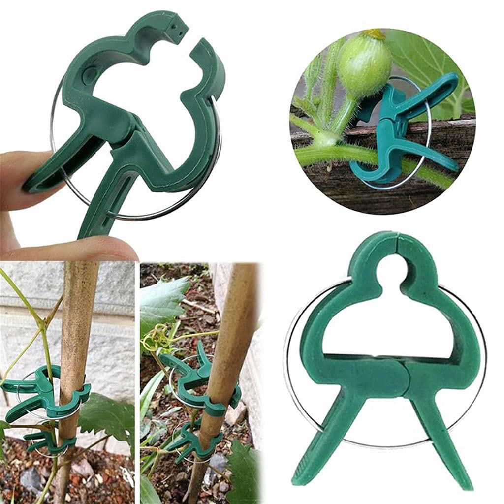 100PCS Plant Support Clips - Garden Flower Stem Clips for Orchids, Vines & Grafting - Heavy Duty Plant Stake Connectors for Outdoor Gardening & Greenhouse Use