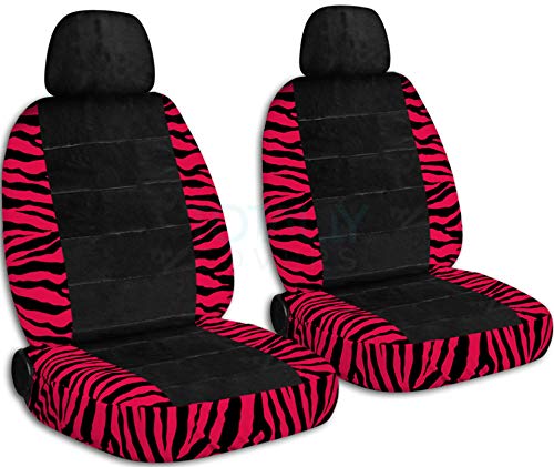 Red Zebra & Black