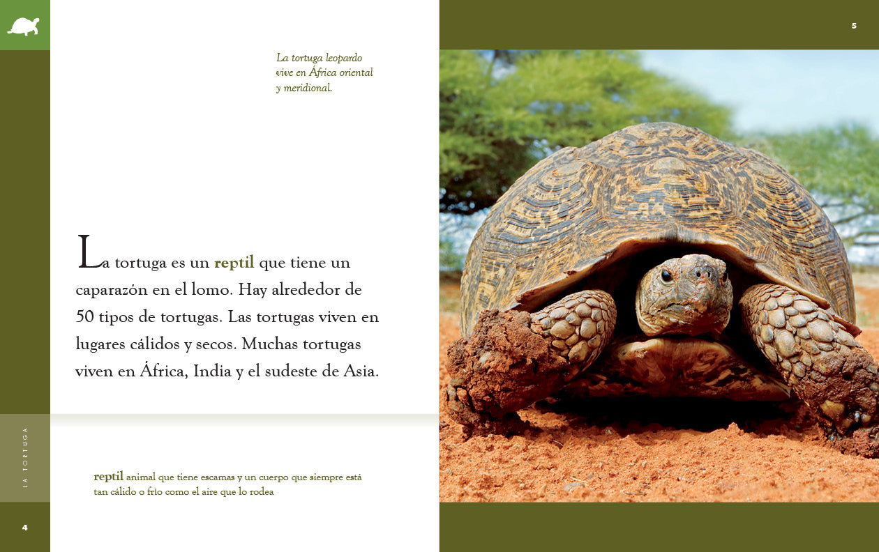 La Tortuga 9781640266834 - Learn About Turtles with This Educational Book | Perfect for Kids, Nature Lovers & Classroom Use
