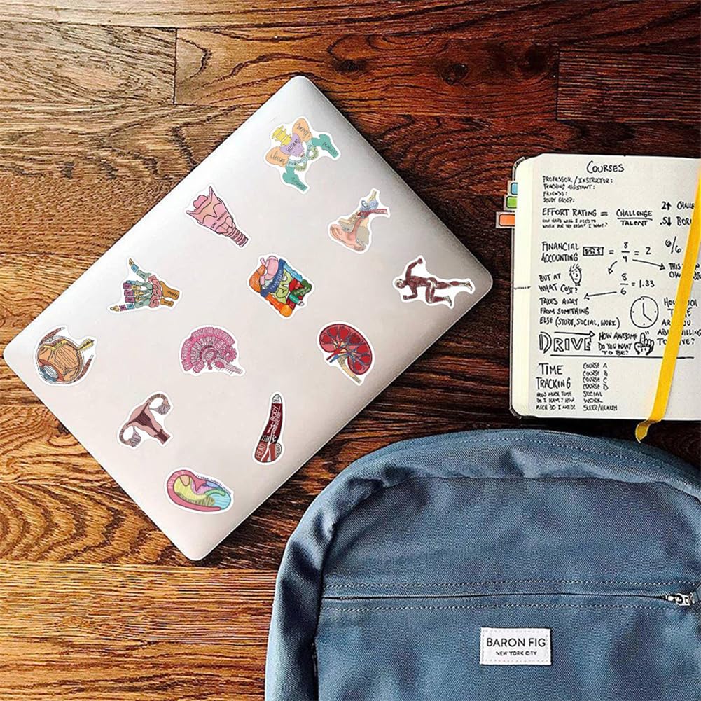 50Pcs Human Body Anatomy Stickers - Waterproof Vinyl Decals for Water Bottles, Laptops, Bikes & More - Perfect for Medical Students, Science Lovers & DIY Decor (Classroom, Home, Office Use)