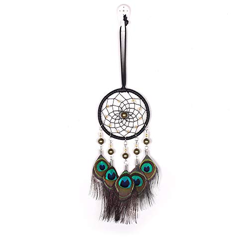 Peacock Feather