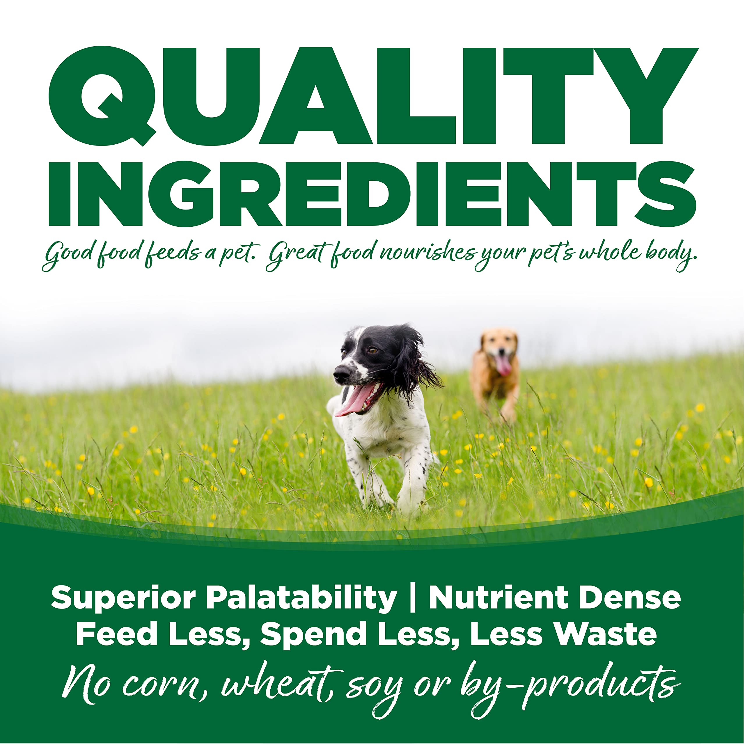 NutriSource Turkey & Rice Dry Dog Food with Wholesome Grains - 30LB Bag for Adult Dogs - High Protein Kibble for Active Pets - Perfect for Daily Meals and Training Treats