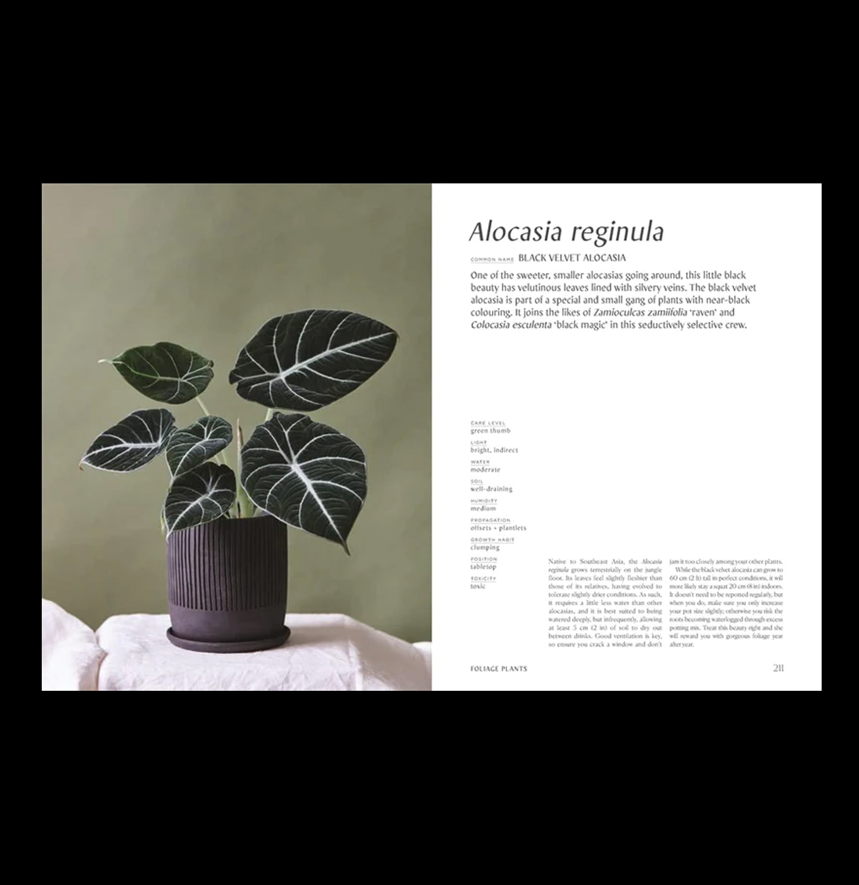 Plantopedia: The Definitive Guide to Houseplants - Indoor Gardening Tips & Care for Beginners | Perfect for Home Decor, Office Plants & Gift Ideas