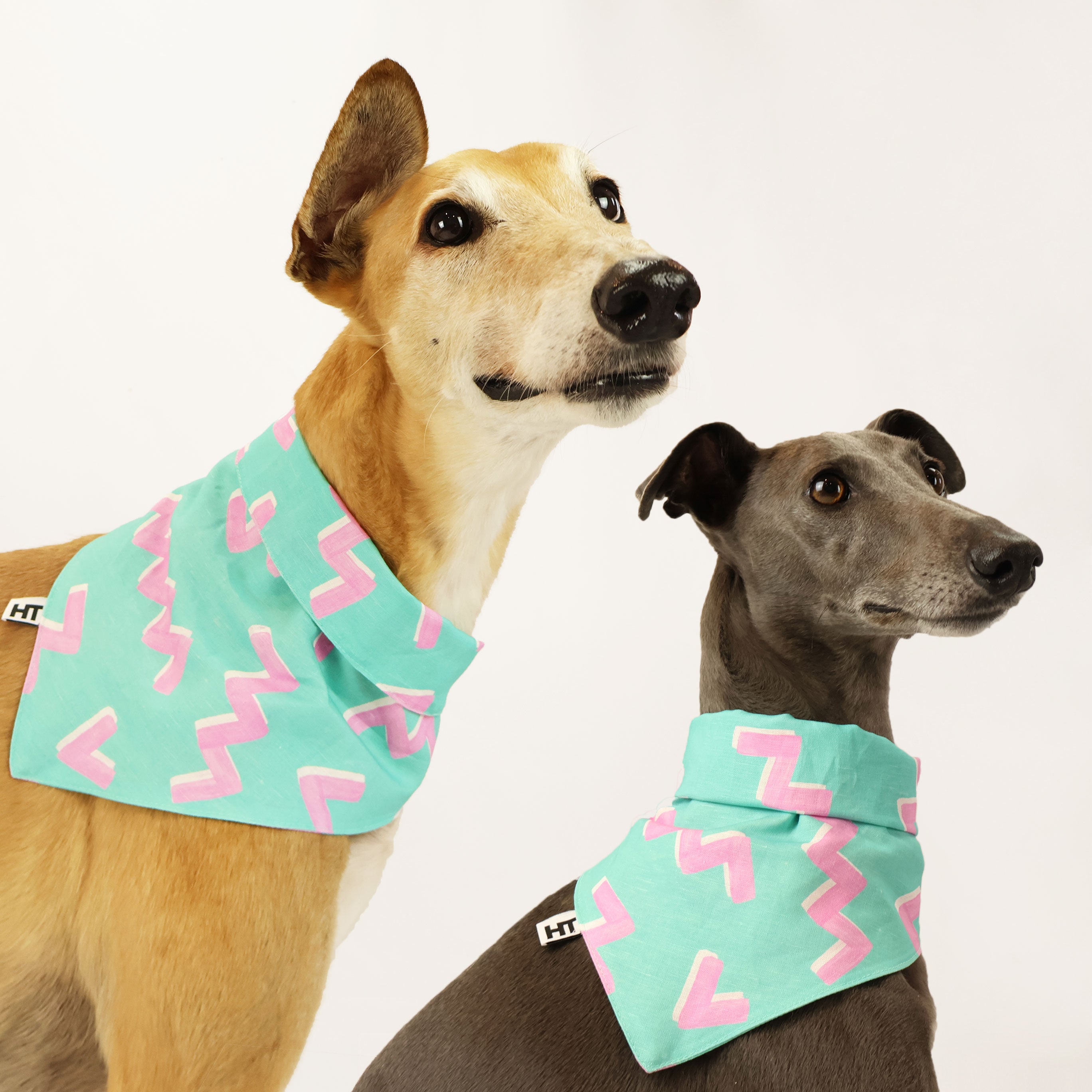 Zag Bandana - Stylish & Breathable Cotton Bandana for Men & Women - Perfect for Outdoor Activities, Sports, and Fashion Accessories