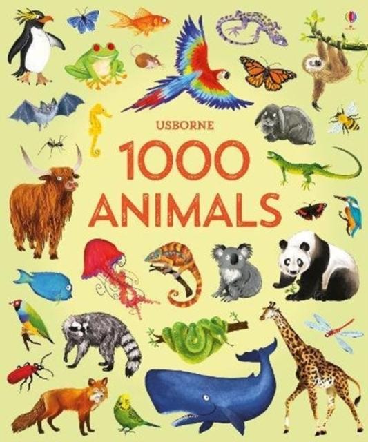 9781474951340 - [Book Title] | Engaging & Educational Read for Kids & Adults | Perfect for Home Learning & Gift Giving