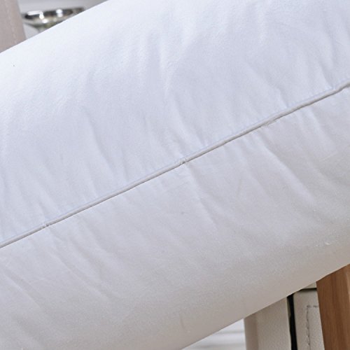 Premium White Goose Down Firm Pillow - 700 Fill Power, 38.8 oz, Size 18.9