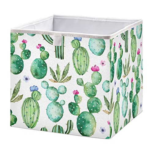 green cactus