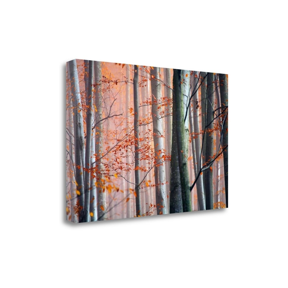 Autumn Woods Landscape Art Print - Premium Giclee Canvas Wall Decor - Hand-Stretched Gallery Wrap Ready to Hang - Perfect for Living Room, Bedroom & Office Decor