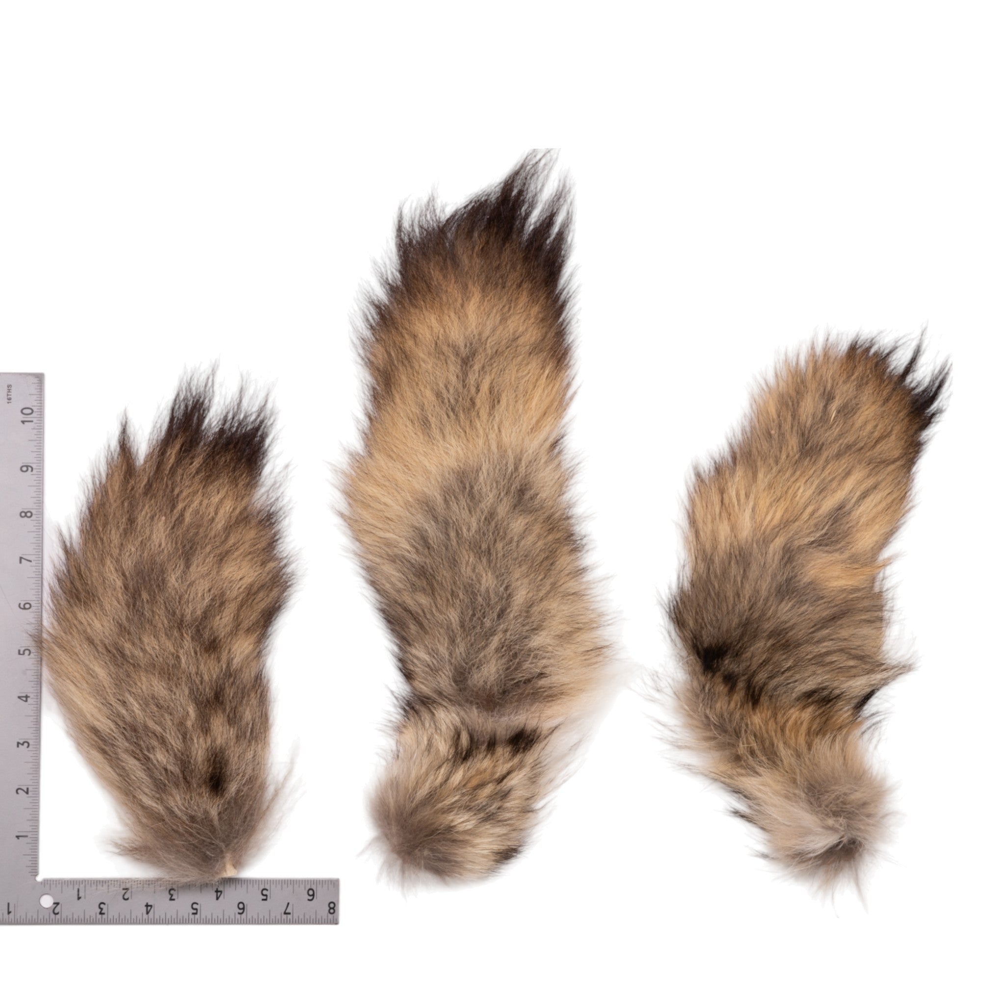 Genuine Animal Tail Hide - Assorted Species (Single Piece) - Perfect for Crafts, Costumes, and Home Decor