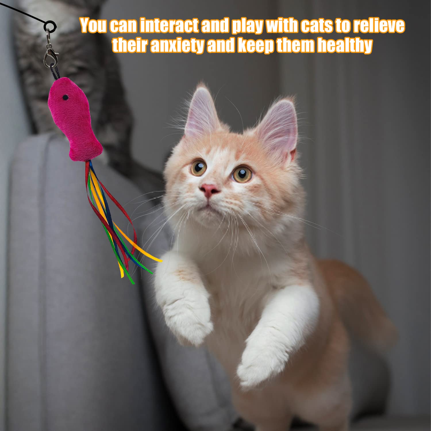 Interactive Cat Feather Wand Toy with 5 Accessories - Indoor Exercise & Play for Adult Cats