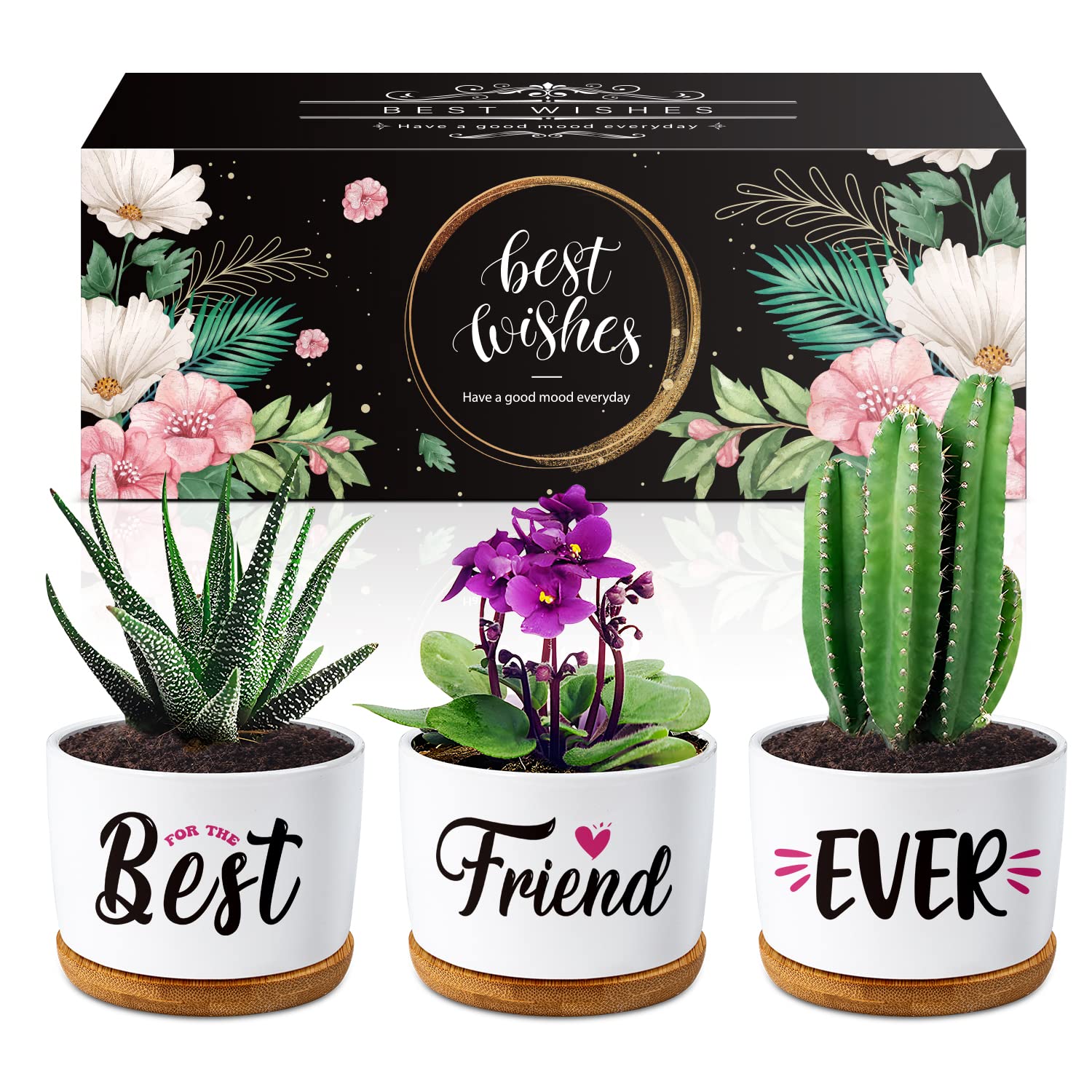 Best Friend Succulent Pots - Ceramic Planter for Plants, Cactus & Succulents | Unique Christmas, Thanksgiving, Birthday & Graduation Gifts for Women, BFF & Friends | Perfect for Home Decor, Office Desk & Going Away Presents