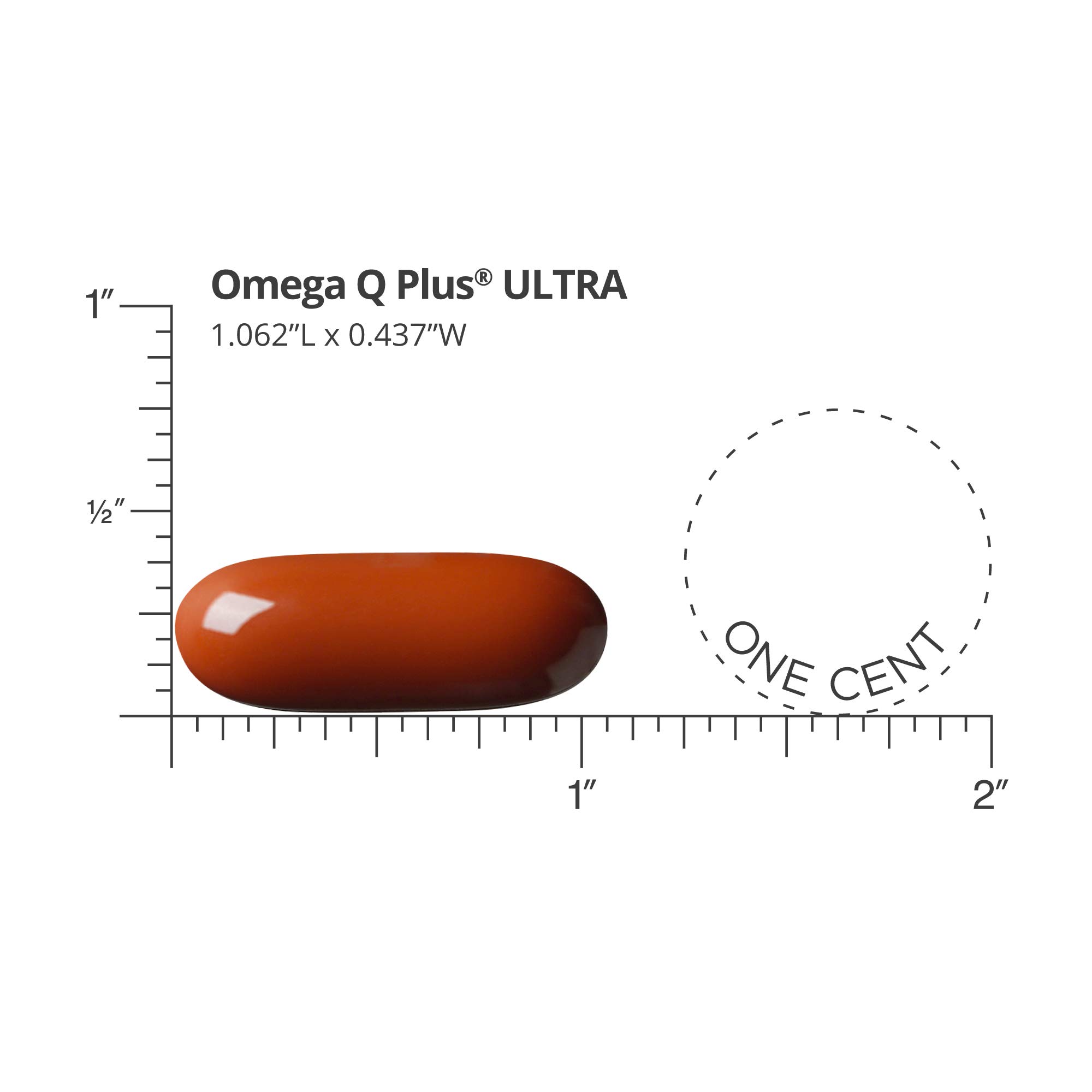 Dr. Sinatra Omega Q Plus Ultra – Premium Heart Health & Anti-Aging Supplement with Ashwagandha for Stress Relief | Supports Cardiovascular Function, Brain Health & Healthy Aging | Ideal for Active Adults & Seniors Seeking Comprehensive Wellness Support
