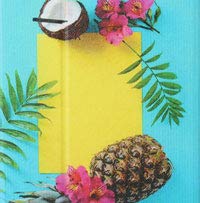 07 Summer Pinapple