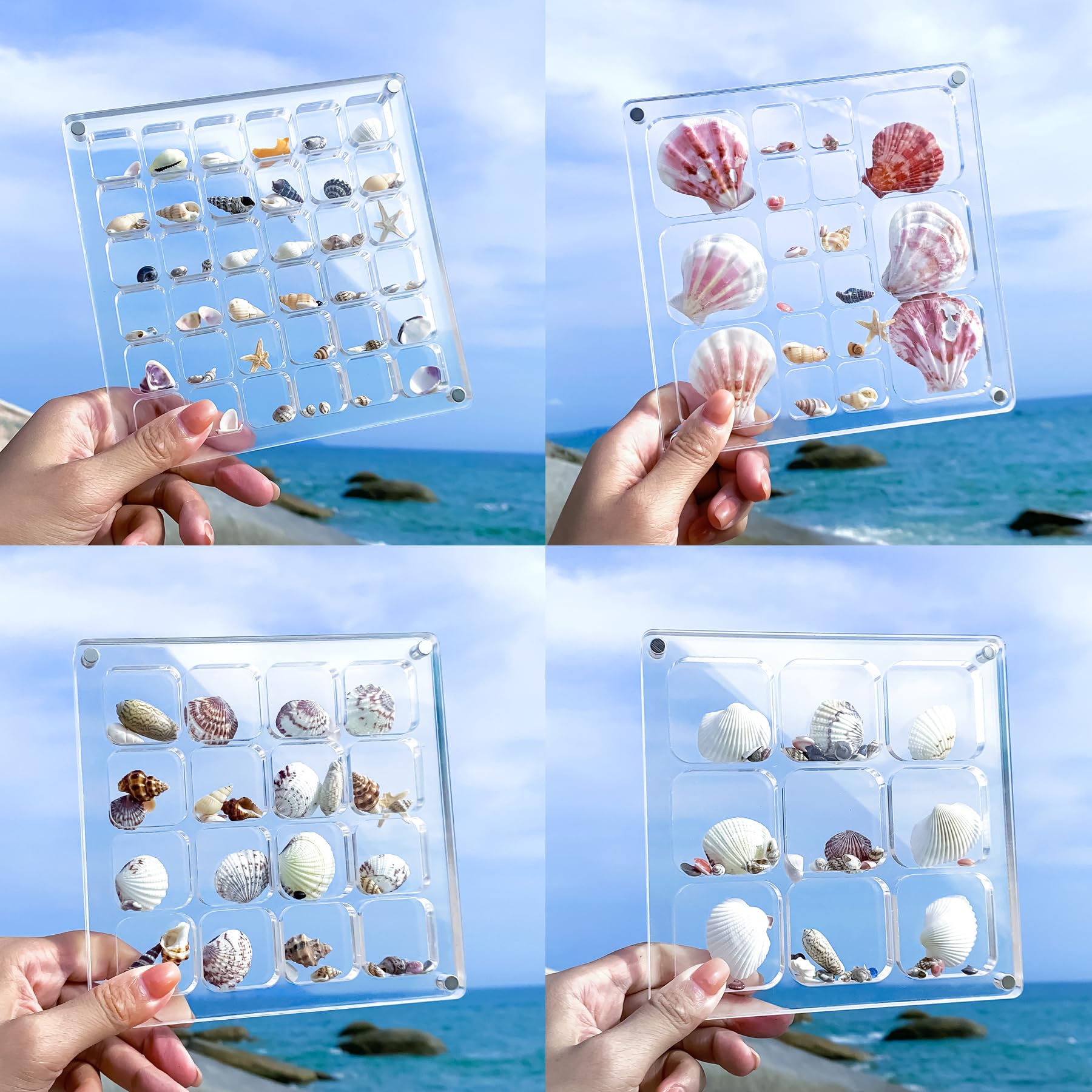 Multi-Style Clear Acrylic Magnetic Seashell Display Case - Collectible Shadow Box for Tiny Treasures, Shell Holder with Grid Cabinet - Perfect for Beachcombing Finds, Jewelry & Crystal Collection Display