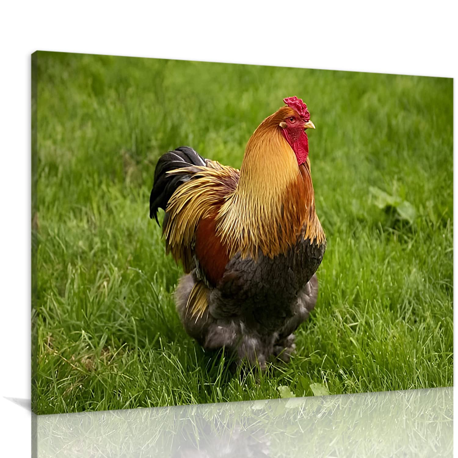 Large Rooster in the Field Canvas Wall Art Print - 24x36 Inch Chicken Oil Painting for Home Decor, Ready to Hang | Perfect for Farmhouse, Kitchen & Living Room Wall Decoration