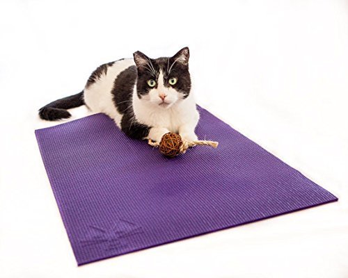 Premium Cat Mat with Catnip - Soft Cat Scratching Post & Comfy Bed - Interactive Activity Play Mat for Kittens & Adult Cats (Purple) - Perfect for Playtime, Napping & Stress Relief at Home