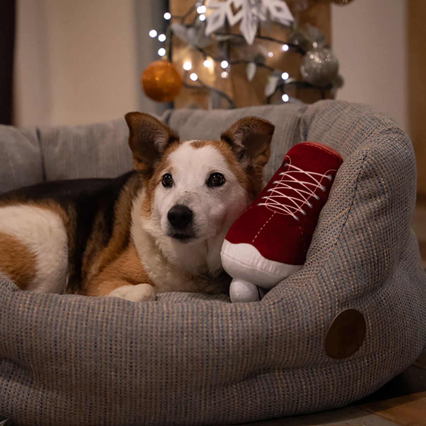 **Ivy Plush Christmas Dog Toy - Soft & Cute Ice Skate Chew Toy for Small & Medium Dogs - Perfect Holiday Gift for Pet Lovers**    *(Use Scenario: Great for Christmas stocking stuffers, holiday pet gifts, or playful chew sessions with your furry friend!)*
