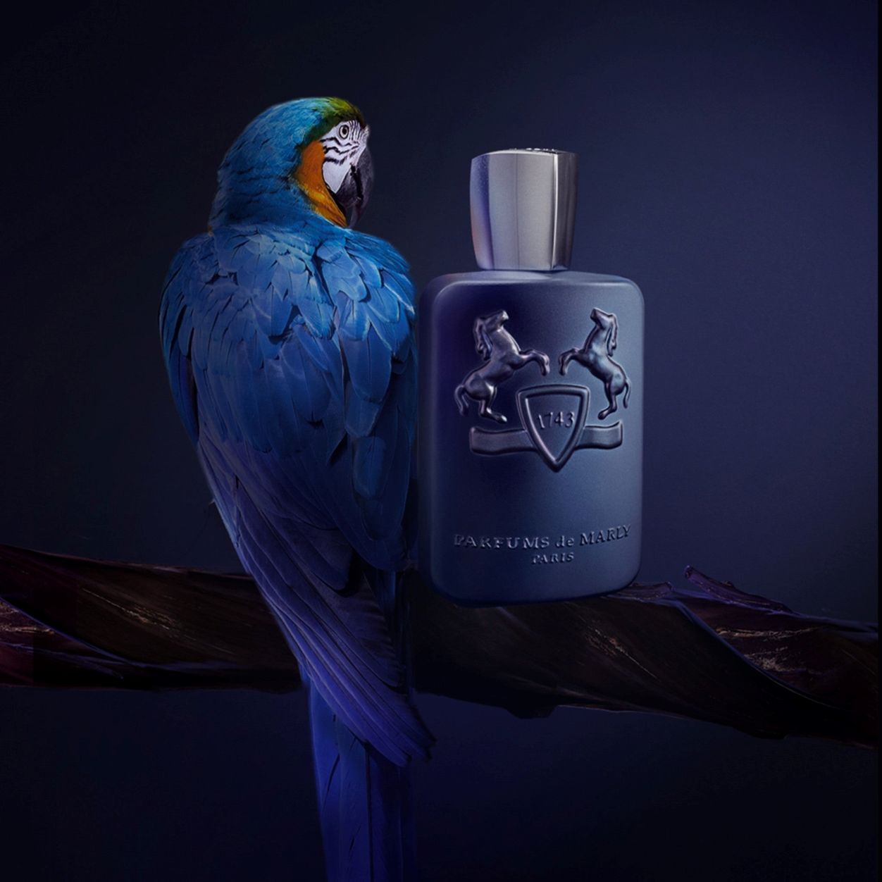 Layton Eau de Parfum for Men - Luxury Fragrance with Woody Spicy Notes - Perfect for Date Night & Special Occasions