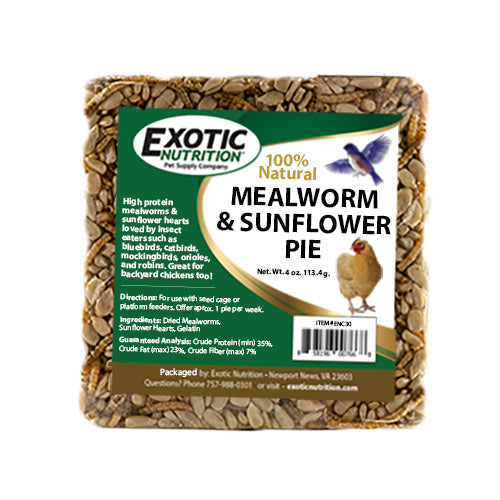 Nutritious Mealworm & Sunflower Seed Pie - High Protein Snack for Hiking, Camping & Survival Food | Organic & Gluten-Free Insect Protein Bar