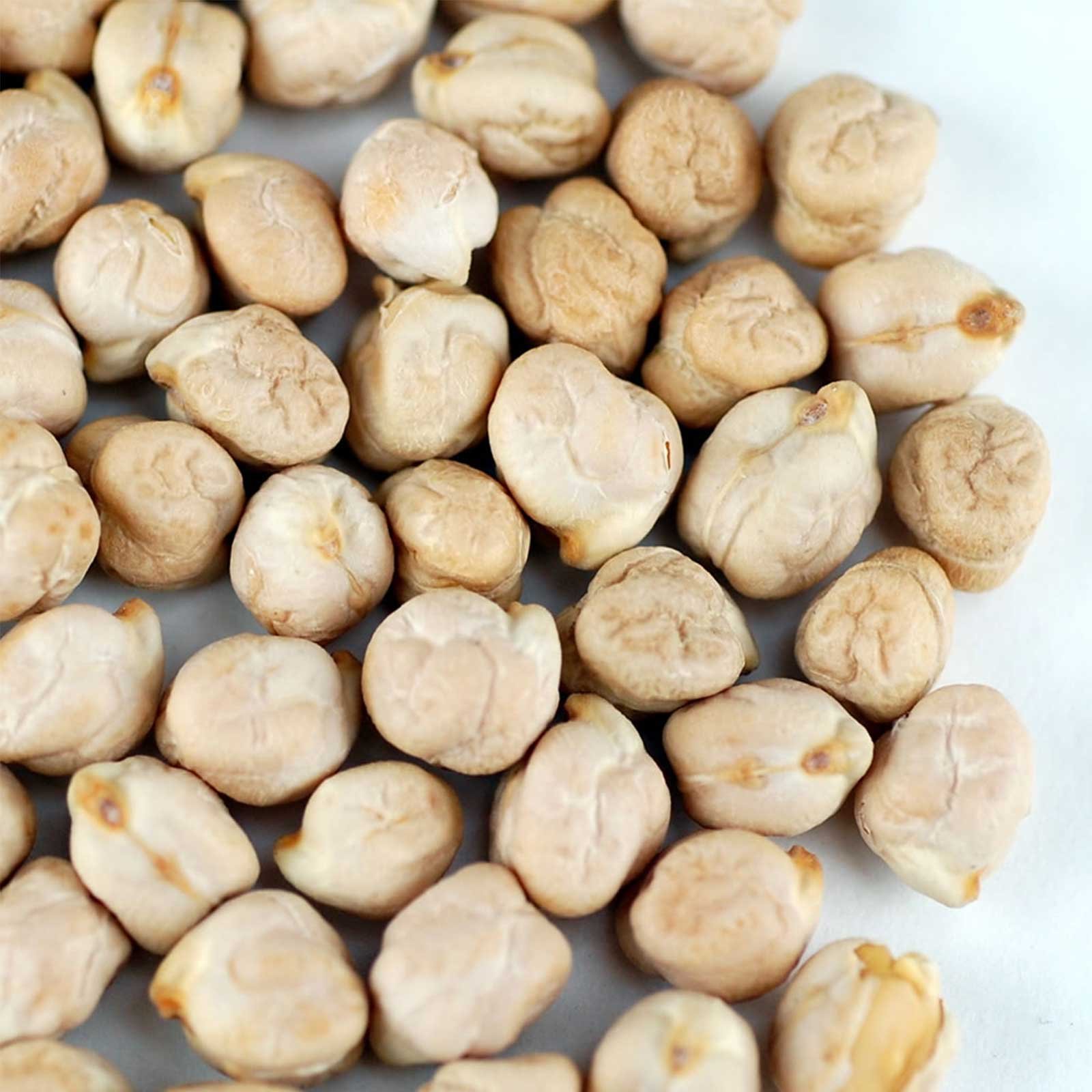 Organic Garbanzo Beans (Chickpeas) - 5 Lb Bulk ~6000 Seeds - Heirloom, Non-GMO, Farm & Vegetable Garden Seeds - Perfect for Indian & Mediterranean Cooking, Hummus, Salads & Home Gardening
