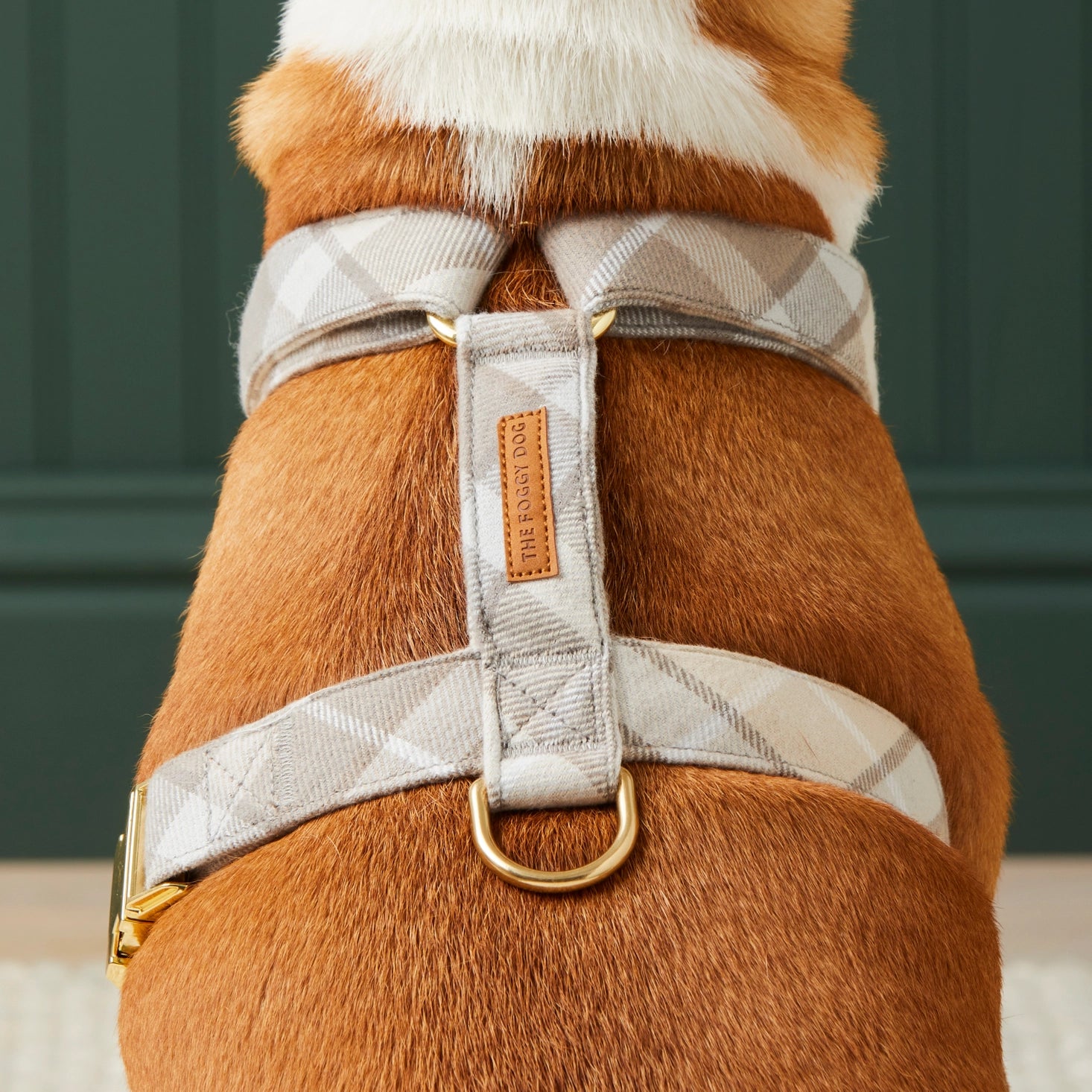 Andover Plaid Dog Harness - Adjustable Pet Harness for Small to Medium Dogs - Comfortable & Stylish for Walking, Hiking, and Outdoor Adventures