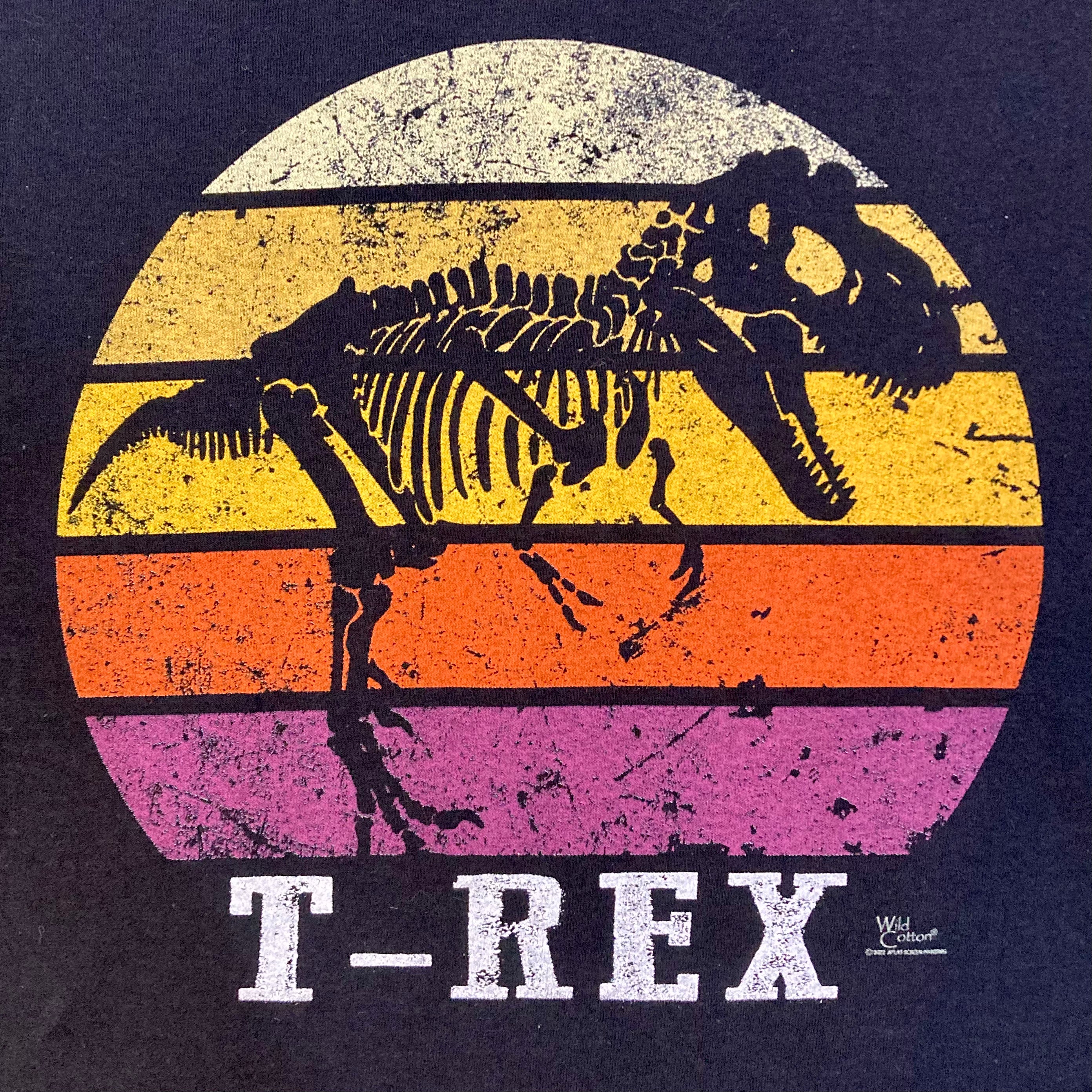 T-Rex Dinosaur Sunset Graphic T-Shirt for Kids - Cool & Comfortable Dino Tee for Boys & Girls - Perfect for School, Playdates & Outdoor Adventures