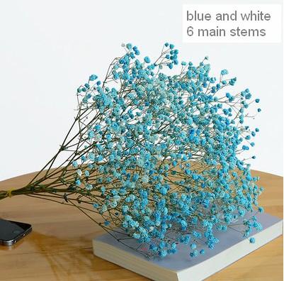 A bunch blue & white babys breath  (about 12 stems)