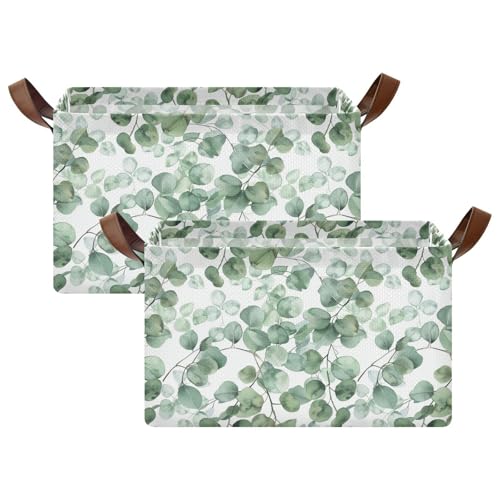 Green Eucalyptus Leaf