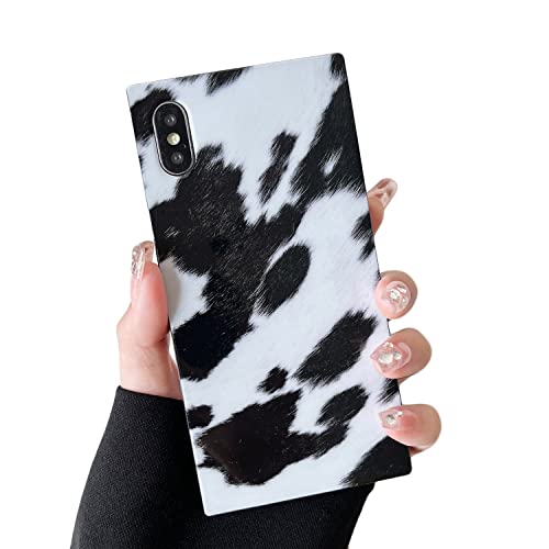 Dairy Cow