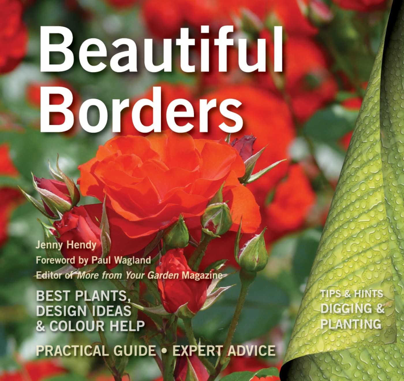 Beautiful Borders: Best Plants, Design Ideas & Color Guide for Gardening - Perfect for Landscaping, Backyard Decor & Outdoor Spaces