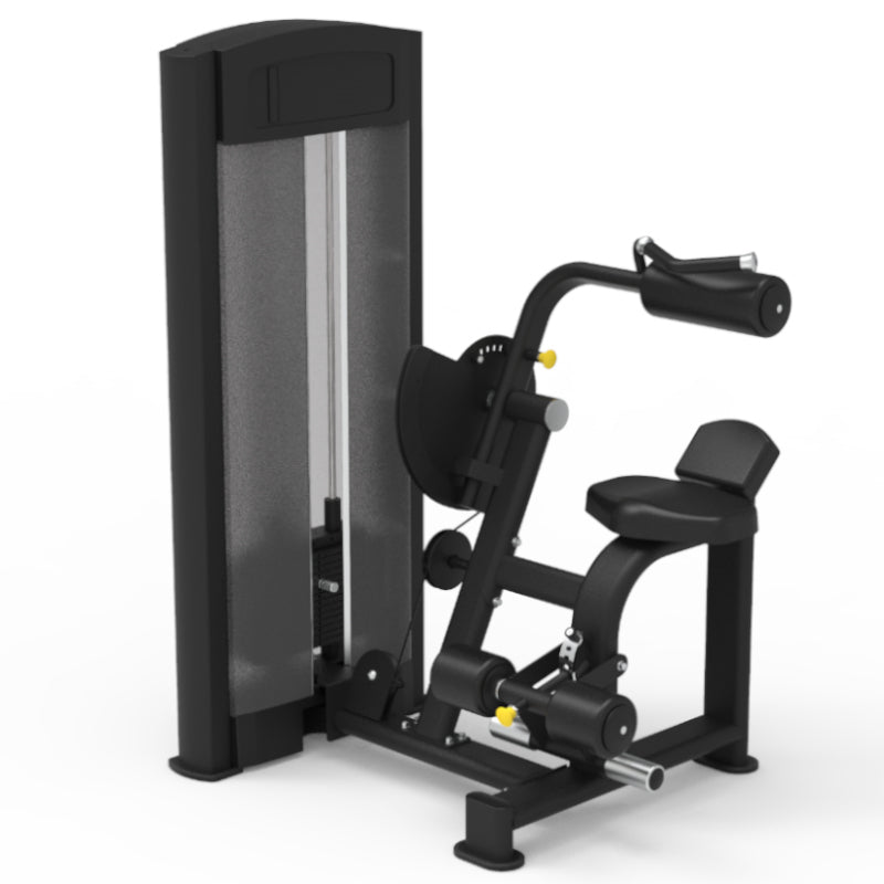 Pegasus 2S 2-in-1 Pin Loaded Upper Back & Abdominal Workout Machine for Home Gym Strength Training & Core Exercises