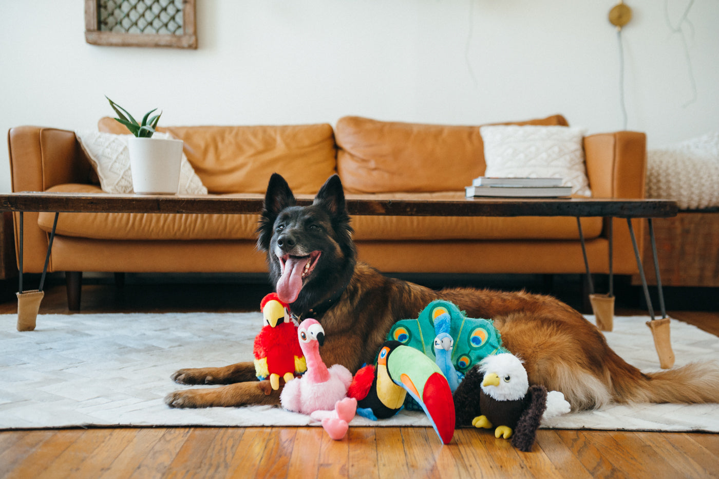Edgar the Eagle Plush Dog Toy - Fetching Flock™ Chew-Resistant Squeaky Stuffed Animal for Medium & Large Dogs | Perfect for Fetch, Tug-of-War & Cuddling | Pet P.L.A.Y.
