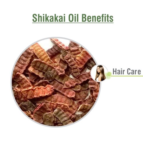 100% Pure Natural SHIKAKAI Oil - Undiluted & Uncut (169.07 Fl oz) for Hair Growth, Scalp Care & Ayurvedic Treatments - Perfect for DIY Hair Masks, Natural Shampoo & Holistic Hair Care