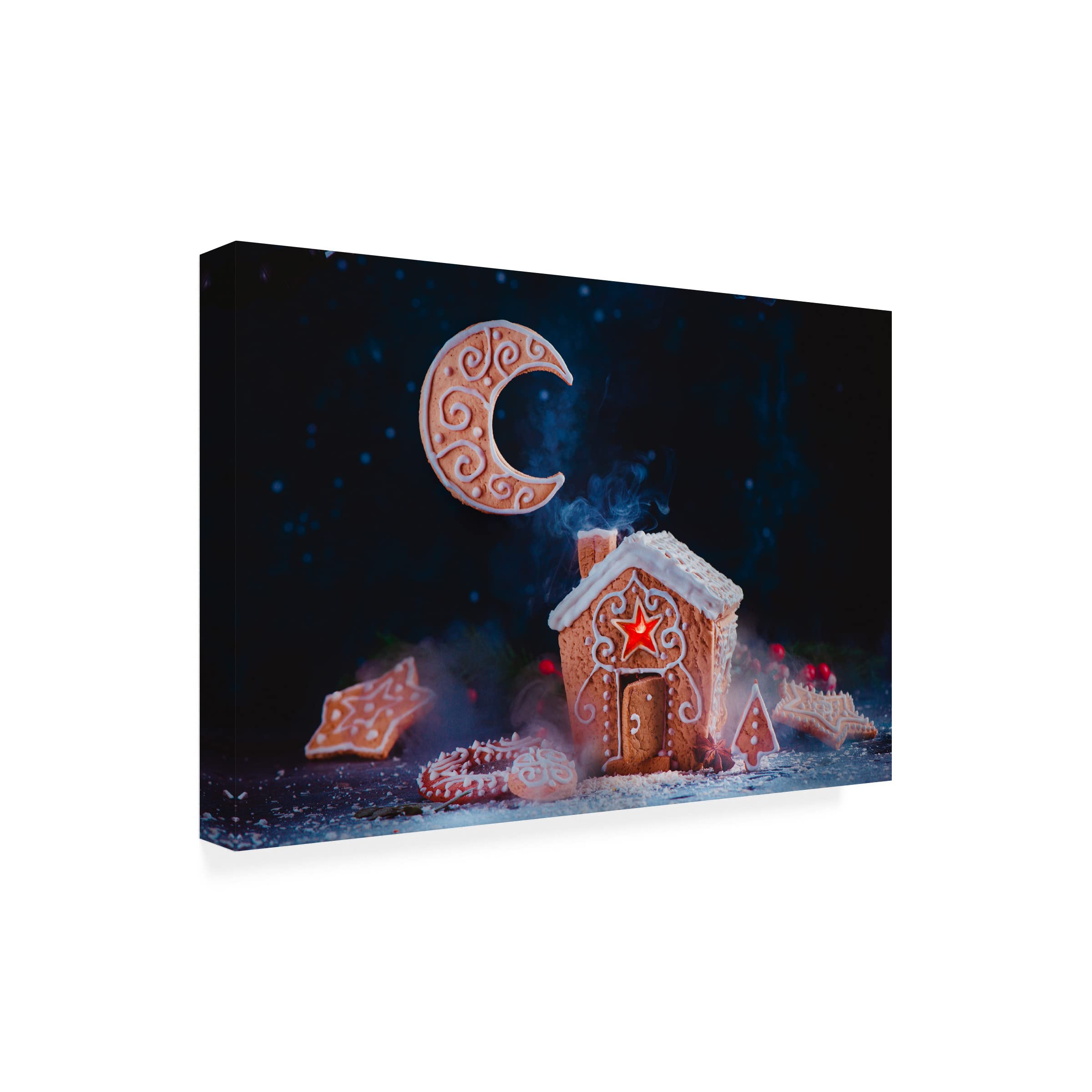 Trademark Fine Art 'Winter Moon' Canvas Print by Dina Belenko - Stunning Home Decor for Living Room, Bedroom & Office