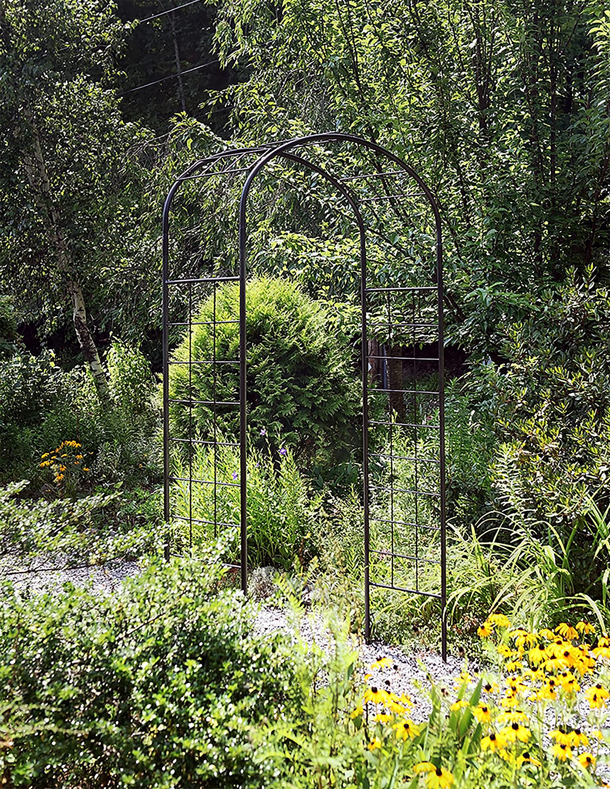 Achla Designs Monet Arbor Wrought Iron Garden Arch - Elegant Outdoor Wedding Archway for Gardens, Backyards & Vineyards
