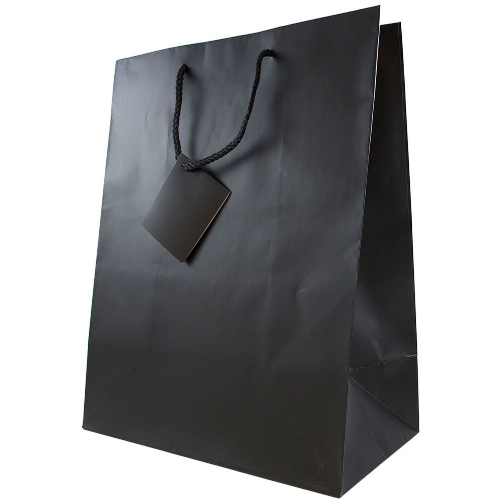 Premium Black Matte Gift Bags with Rope Handles - 10