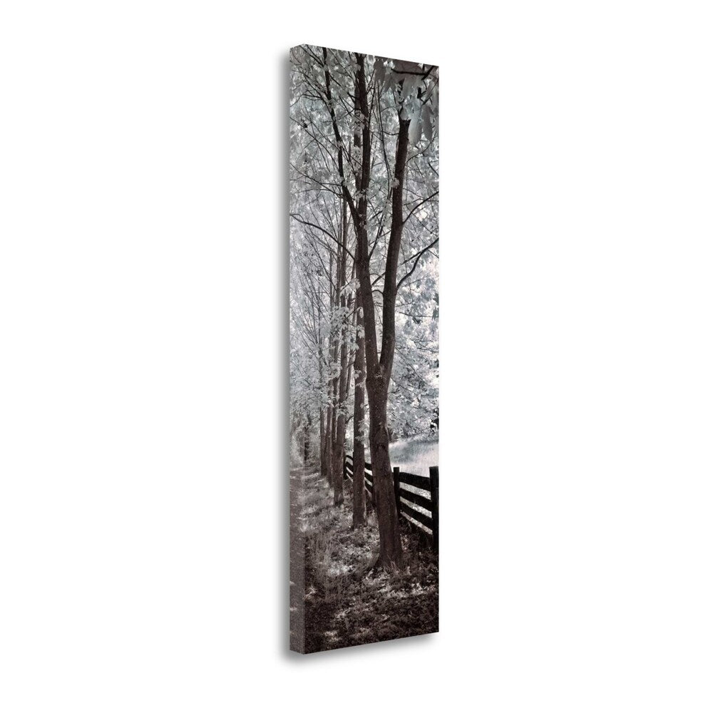 A Walk To Remember II By Ily Szilagyi - Premium Giclee Art Print on Gallery Wrapped Canvas - Perfect for Living Room, Bedroom & Office Wall Decor