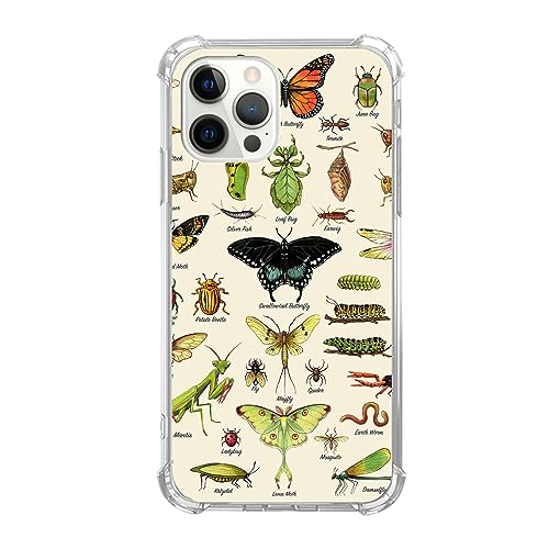 Insects Art