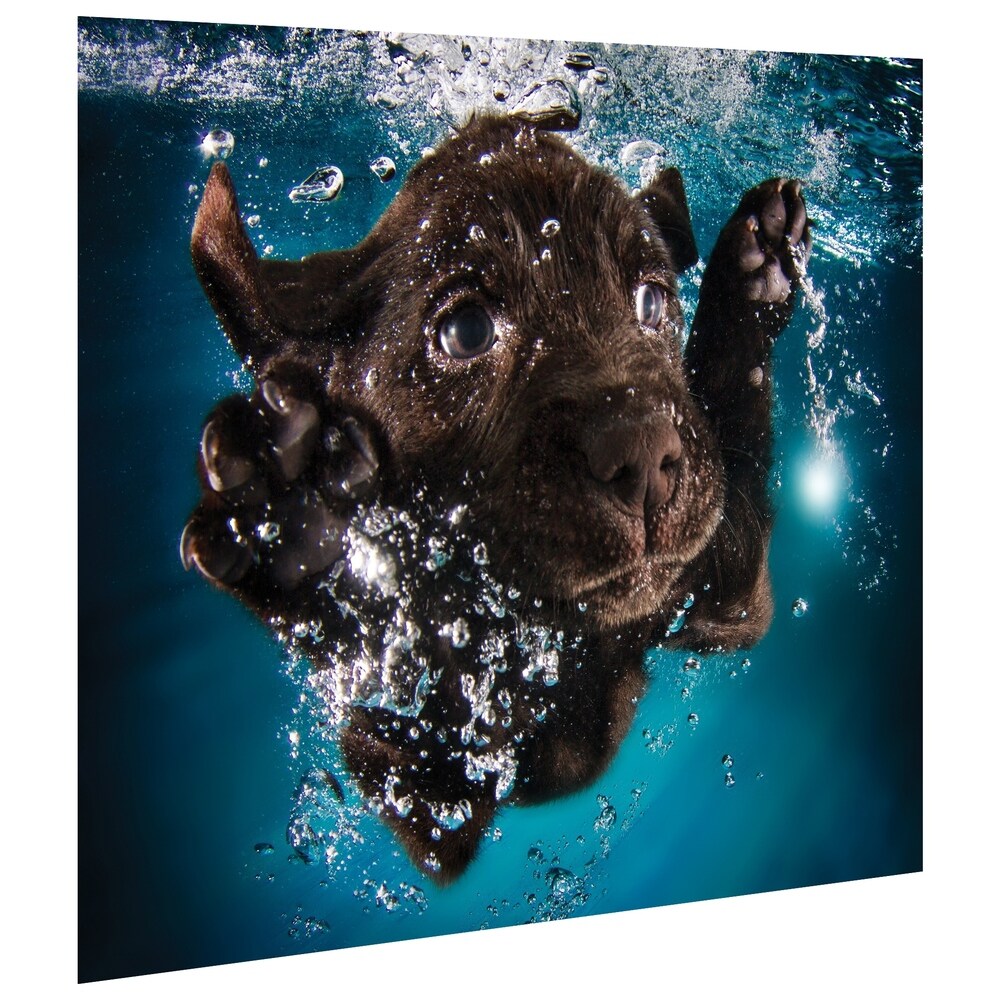Black Lab Dog Wall Art - Frameless Free Floating Tempered Glass Panel in Blue & Brown - Perfect for Living Room, Bedroom, or Office Decor