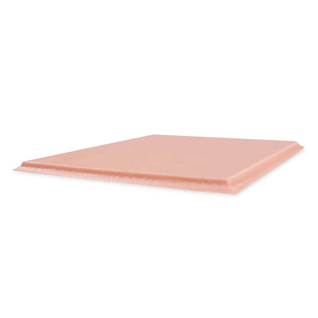 11 x 8.5 Inch Rectangle Plaque - Fitzpatrick Skin Tone 2 - Perfect for Medical Offices, Dermatology Clinics & Skin Care Professionals