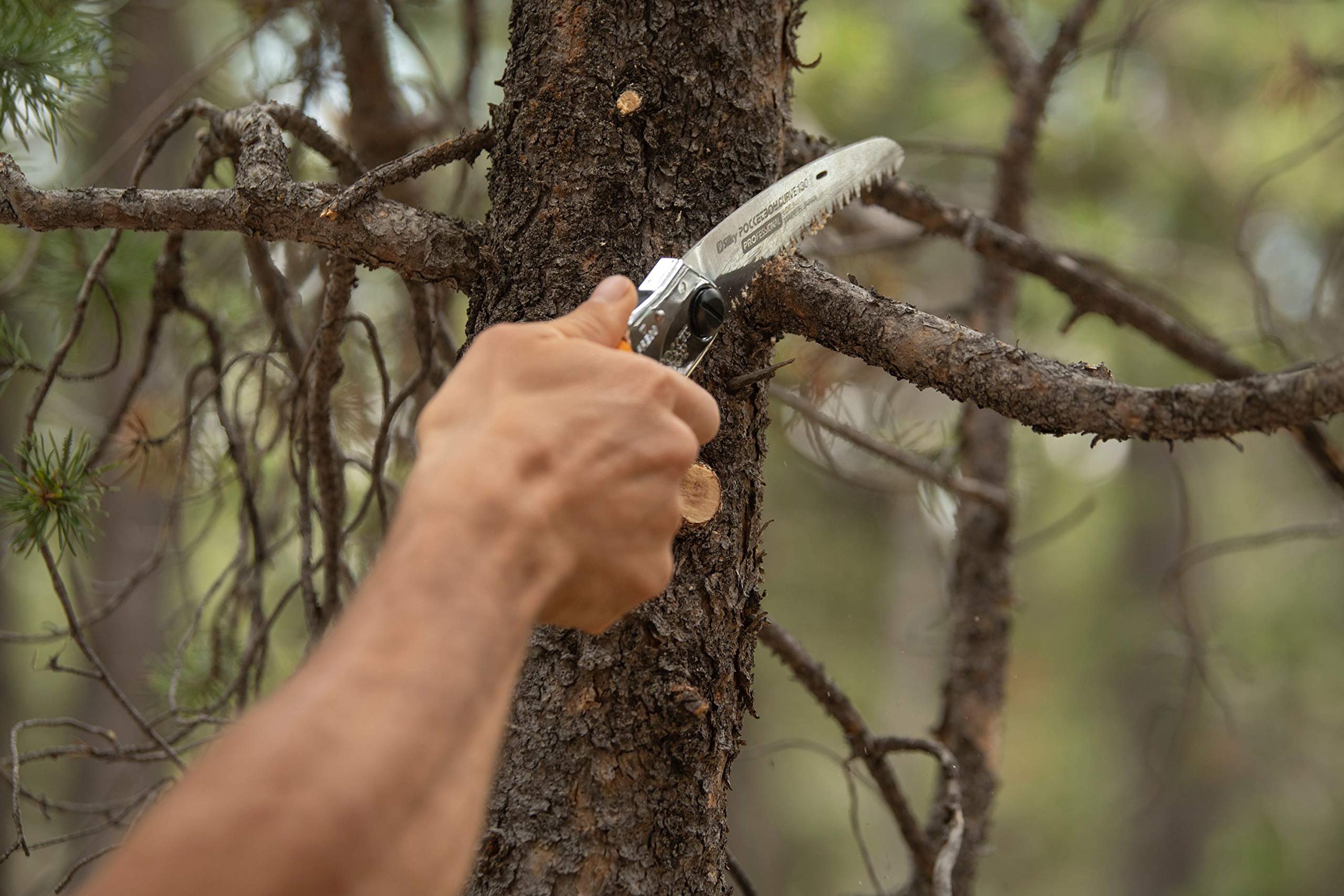 Silky Replacement Blade for PocketBoy Curve 170mm Large Teeth (727-17) - Professional Pruning Saw Blade for Gardening, Landscaping, and Tree Trimming