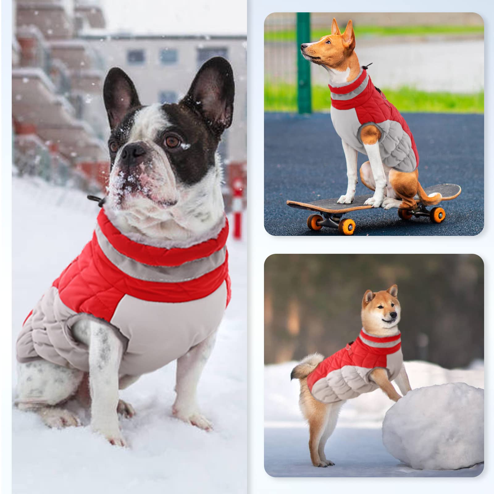 Small Dog Winter Coat - Waterproof & Warm Dog Jacket with Built-in Harness for Shih Tzu, Bichon & Small Breeds - Red Snowsuit for Cold Weather, Outdoor Walks & Winter Adventures