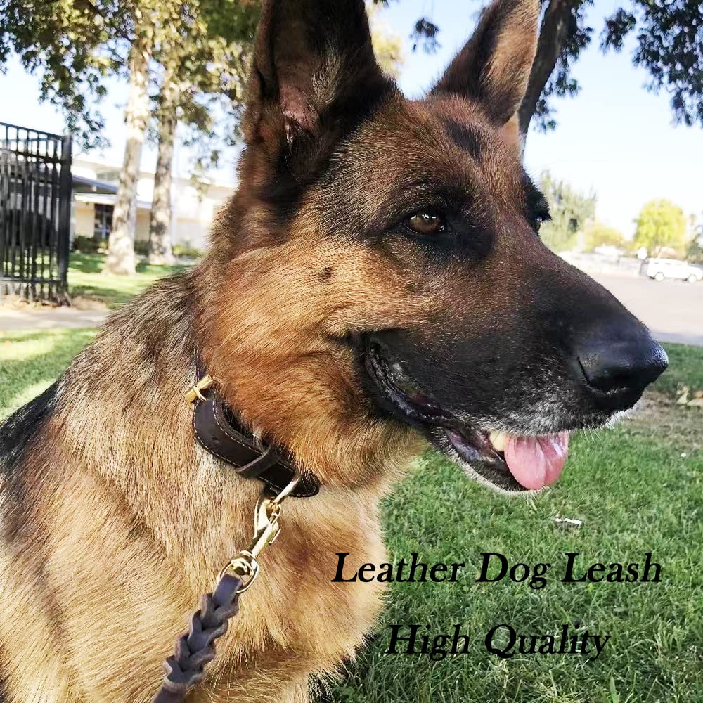 Premium 2FT Leather Dog Leash - 1/2 Inch Wide Short Training Leash for Small, Medium & Large Dogs | Durable Leather Dog Walking Leash for Obedience Training, Daily Walks & Outdoor Adventures