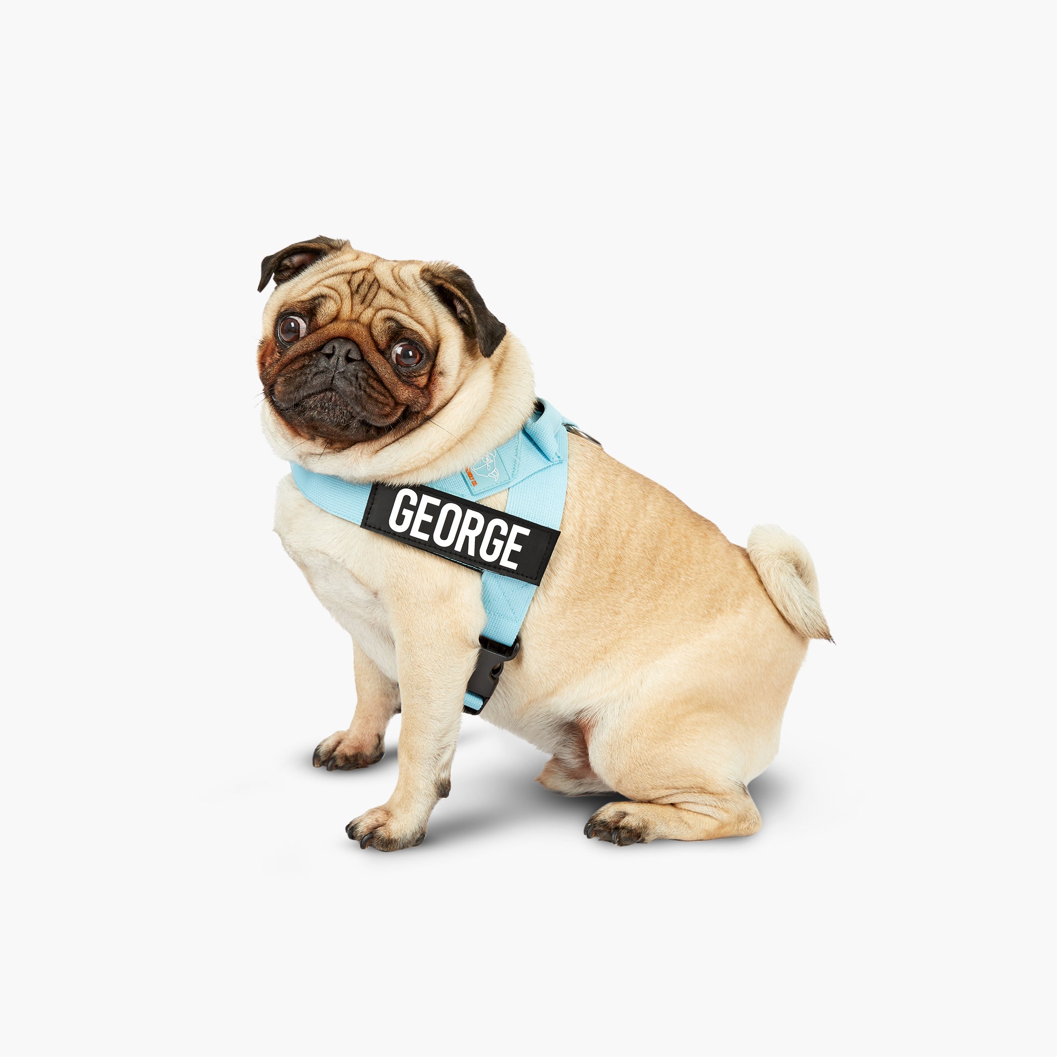 Premium Dog Harness for Small & Medium Dogs - Adjustable & Breathable Sky Blue Pet Vest - Perfect for Walking, Hiking & Outdoor Adventures